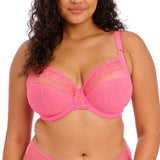 Elomi Matilda Plunge Bra Wild Cherry