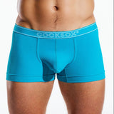Blue boxer briefs with 'COCKSOX' branding on a white background