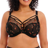 Sachi Plunge Uw Bra Black Butterfly