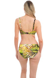 Mid Rise Bikini Brief Kabini Oasis